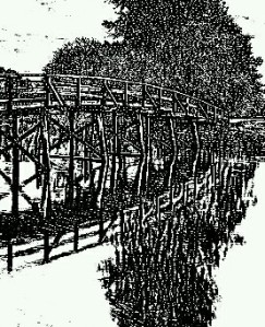 Bridge pic1